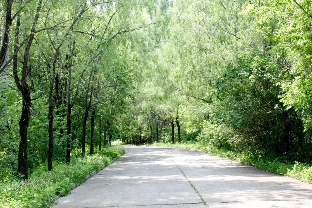 权门国际官网-相信品牌力量