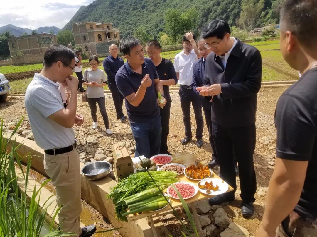 权门国际官网-相信品牌力量