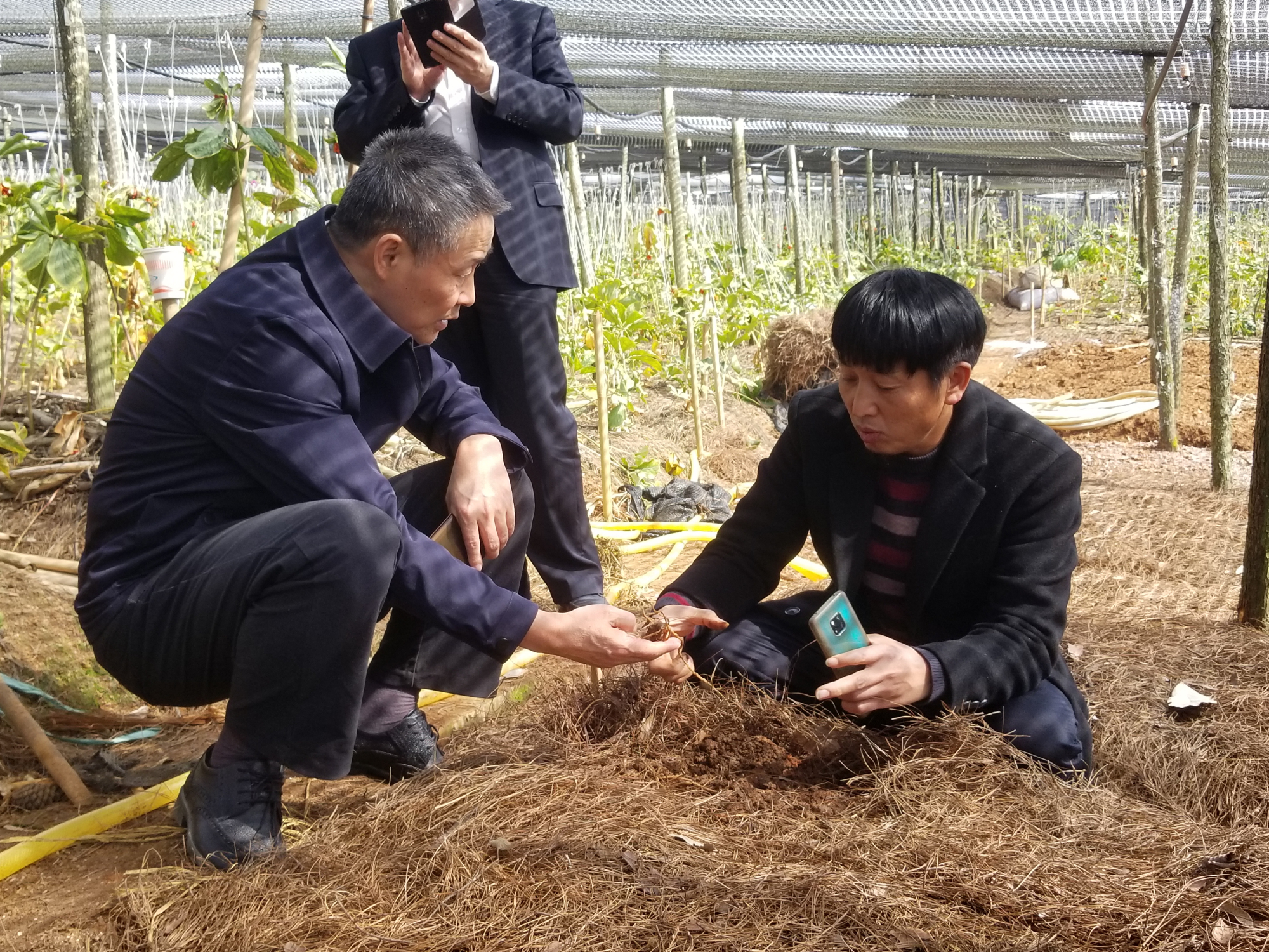权门国际官网-相信品牌力量