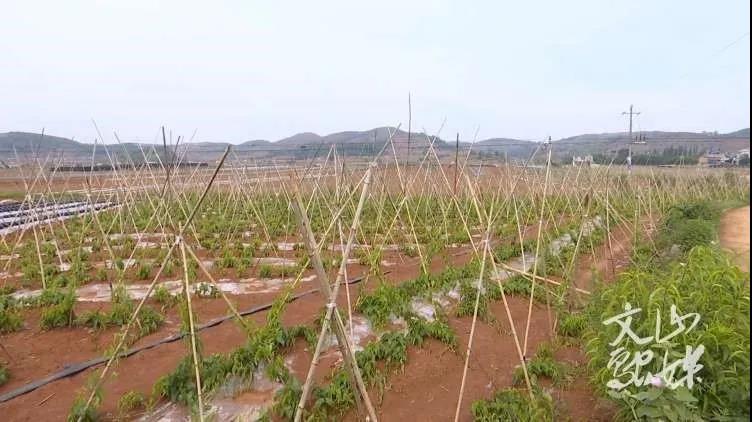 权门国际官网-相信品牌力量