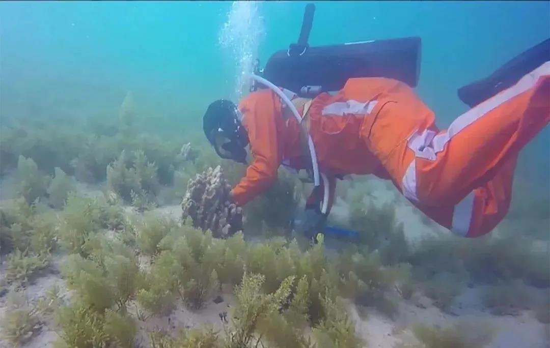 权门国际官网-相信品牌力量